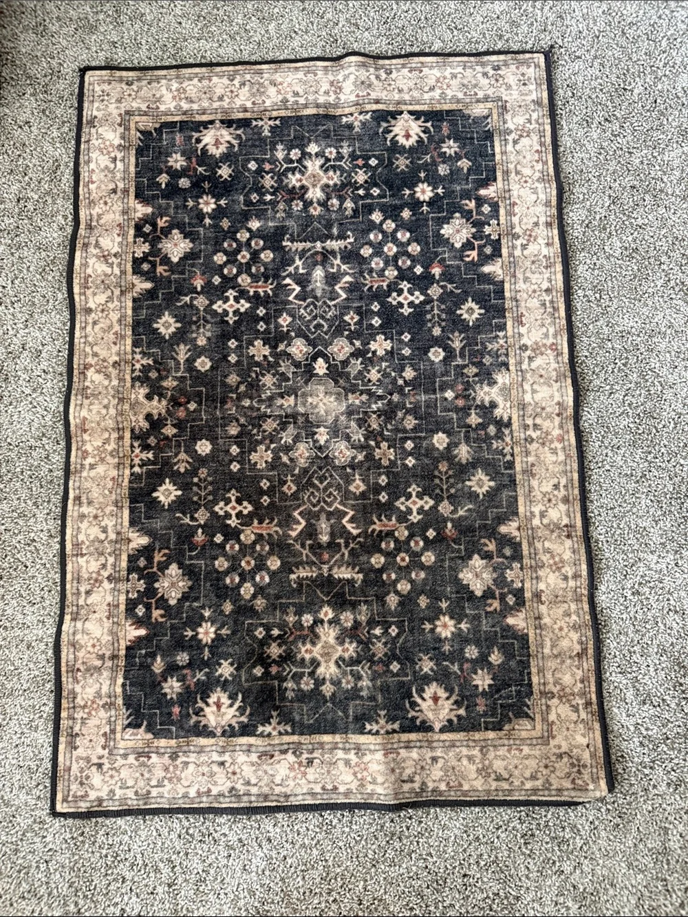 Classic Black and Beige Ornamental Area Rug - Home Accents